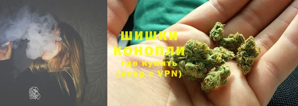 амф Арсеньев